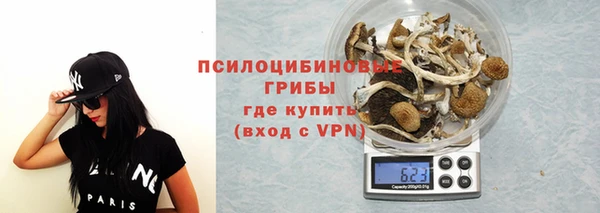 PSILOCYBIN Аркадак