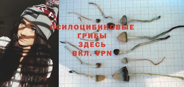 мяу мяу мука Арсеньев