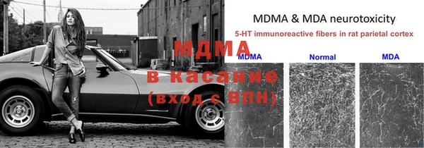 мяу мяу мука Арсеньев