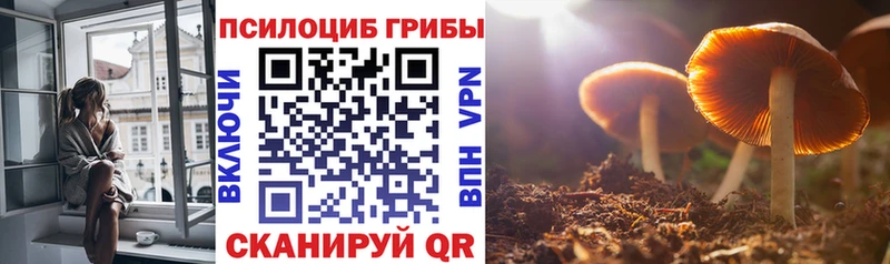 Псилоцибиновые грибы ЛСД  нарко площадка наркотические препараты  гидра ССЫЛКА  Куйбышев  цена наркотик 