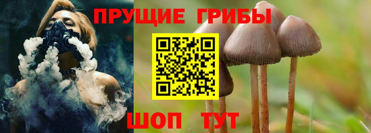 Псилоцибиновые грибы мухоморы  купить наркотики цена  Куйбышев  Галлюциногенные грибы мицелий  Вход с VPN 