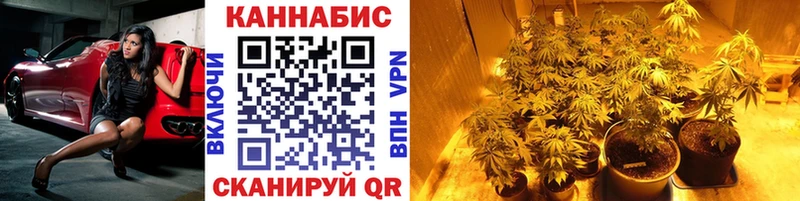 Бошки Шишки VHQ  Куйбышев 